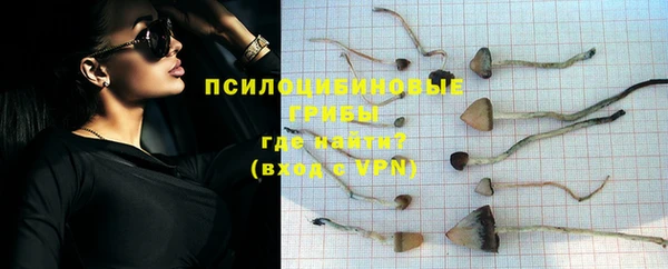 бошки Горняк