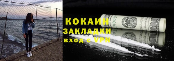 бошки Горняк