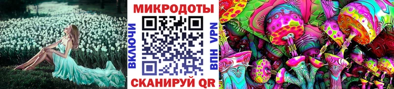 Купить закладки  Кадников  Галлюциногенные грибы Psilocybe 